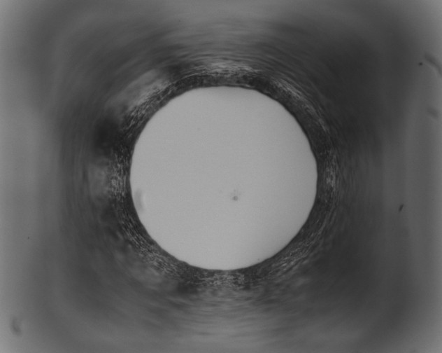 X0000101990869200807181145