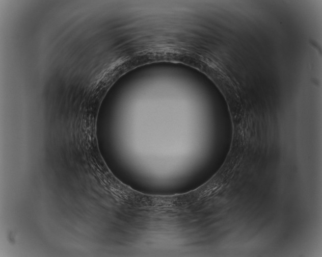 X0000101990870200807181145