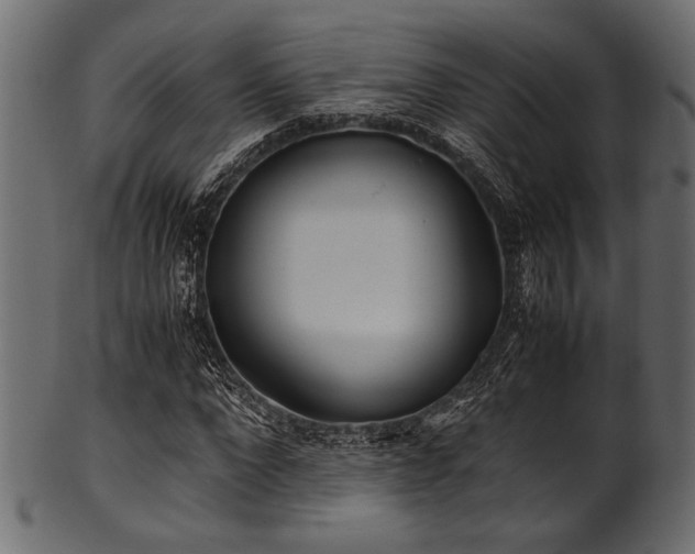 X0000101990872200807181145