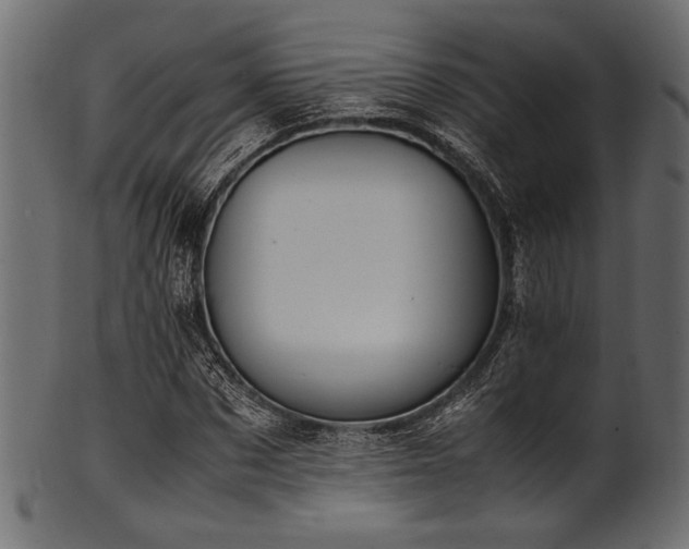 X0000101990873200807181145