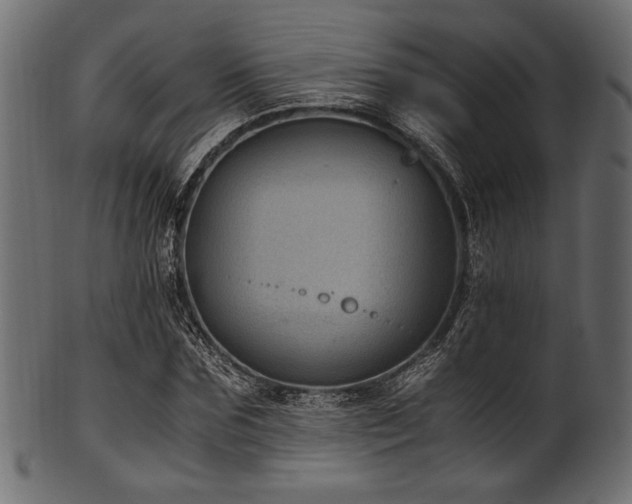 X0000101990875200807181145