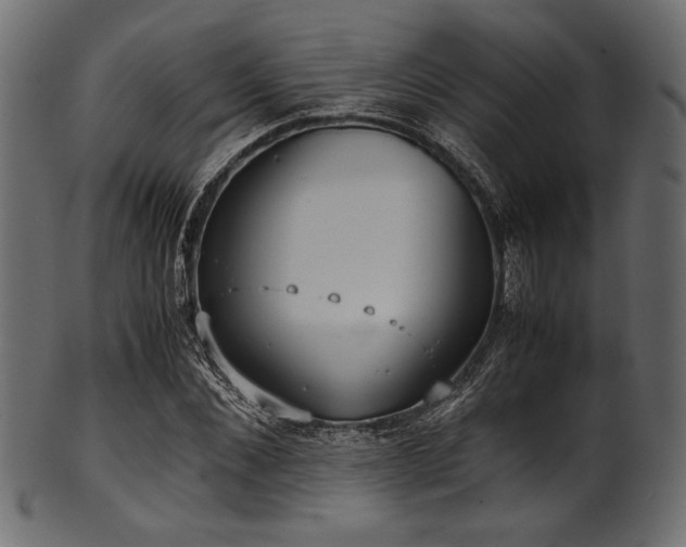X0000101990876200807181145