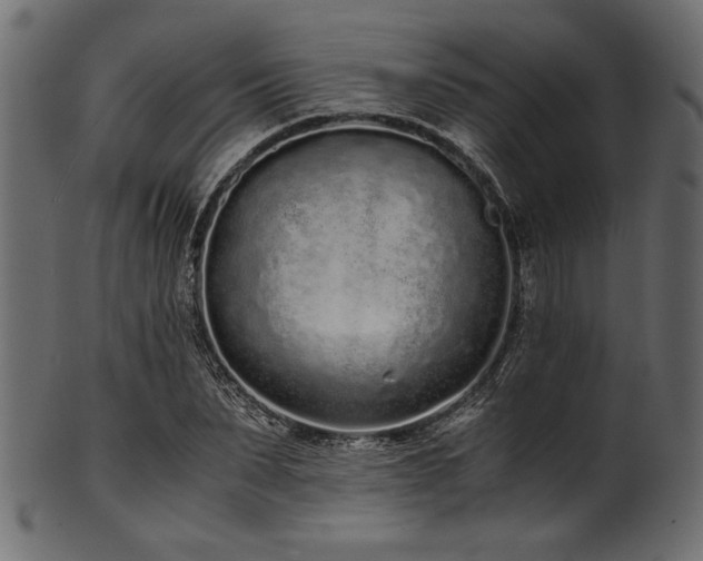 X0000101990879200807181145