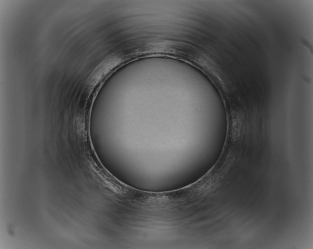 X0000101990882200807181145