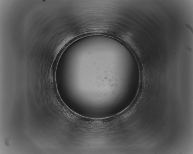 X0000101990883200807181145