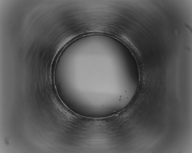X0000101990884200807181145