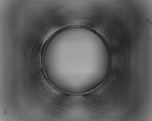 X0000101990886200807181145