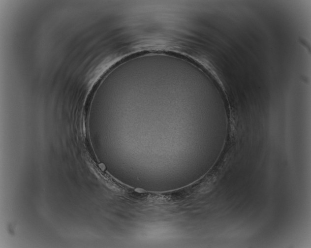 X0000101990887200807181145