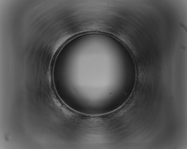 X0000101990888200807181145