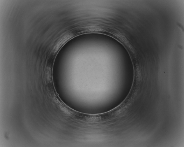 X0000101990889200807181145