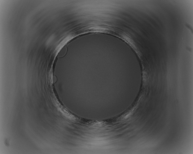 X0000101990891200807181145