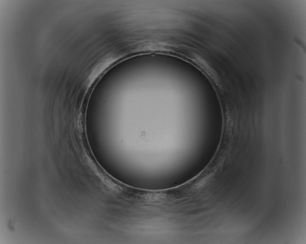 X0000101990893200807181145