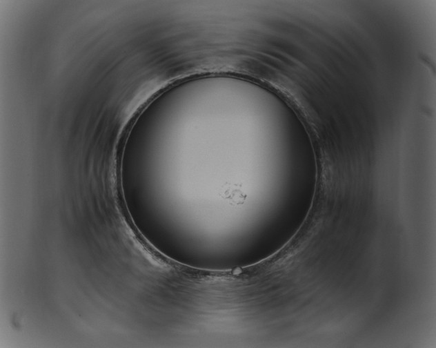 X0000101990894200807181145