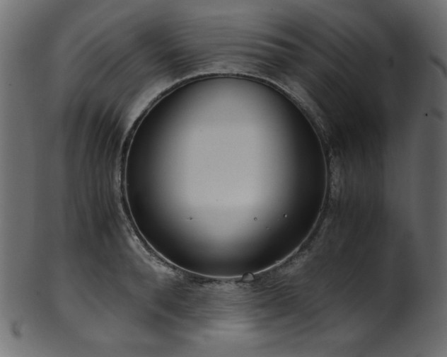 X0000101990896200807181145