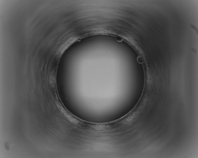 X0000101990897200807181145