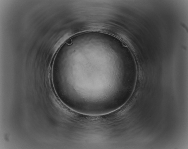 X0000101990899200807181145