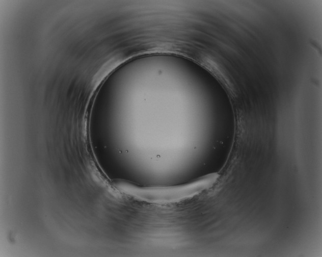 X0000101990900200807181145