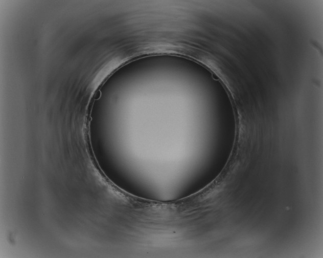X0000101990901200807181145