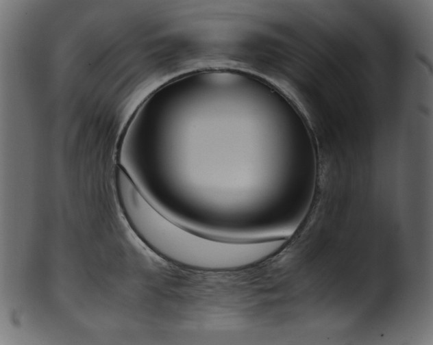 X0000101990903200807181145