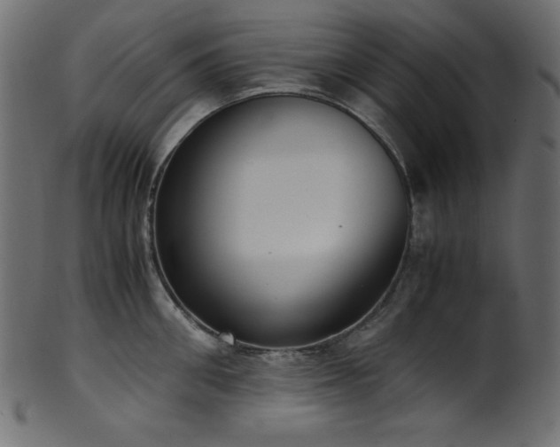 X0000101990906200807181145