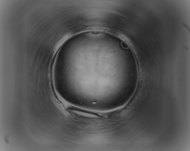 X0000101990907200807181145