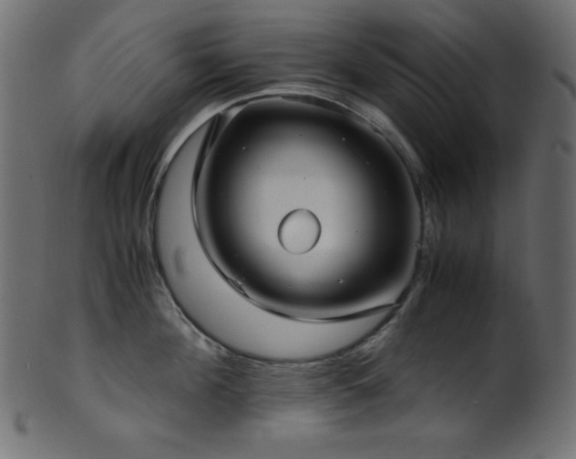 X0000101990908200807181145
