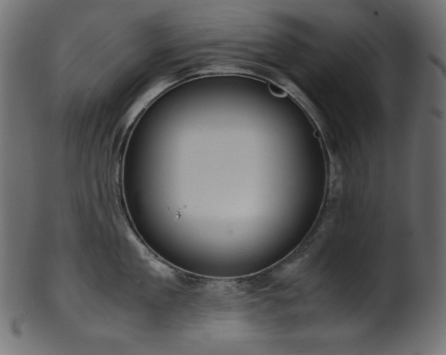 X0000101990909200807181145