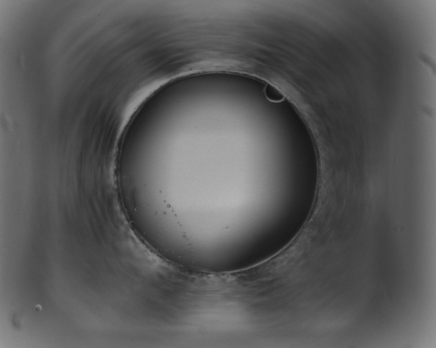X0000101990912200807181145