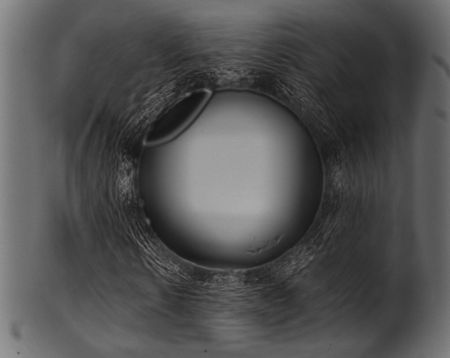 X0000101990914200807181144
