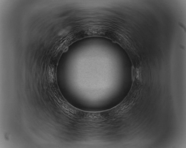 X0000101990915200807181144