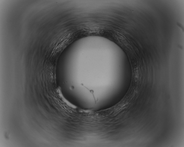 X0000101990916200807181144