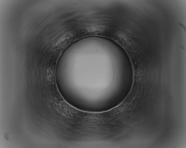 X0000101990917200807181144