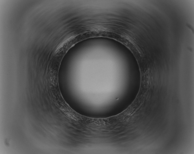 X0000101990919200807181144