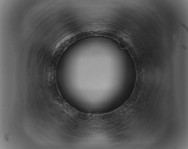 X0000101990920200807181144