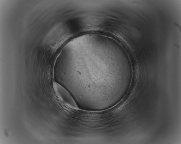 X0000101990921200807181144
