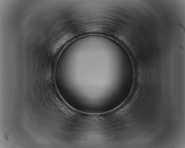 X0000101990922200807181144