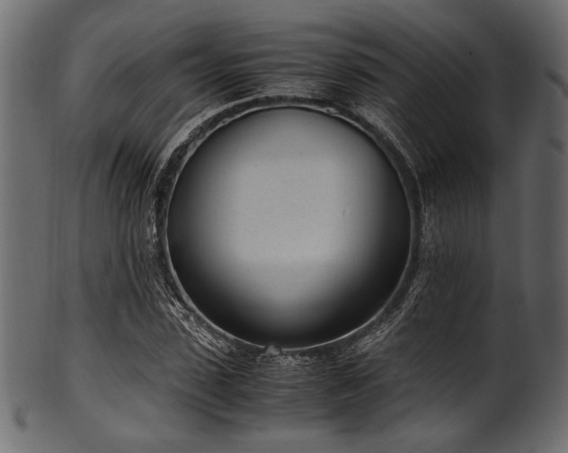 X0000101990923200807181144