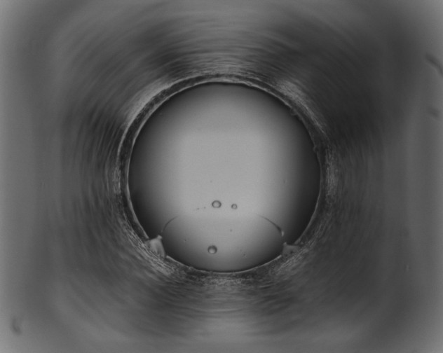 X0000101990924200807181144