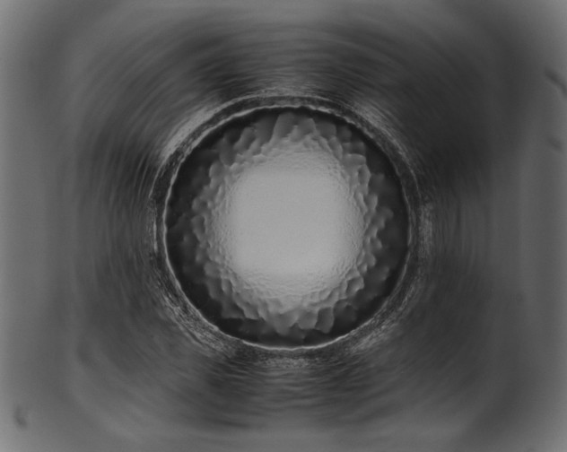 X0000101990925200807181144