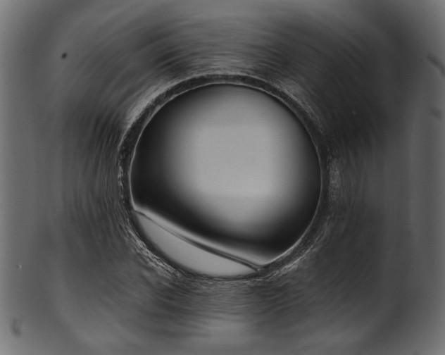 X0000101990926200807181144