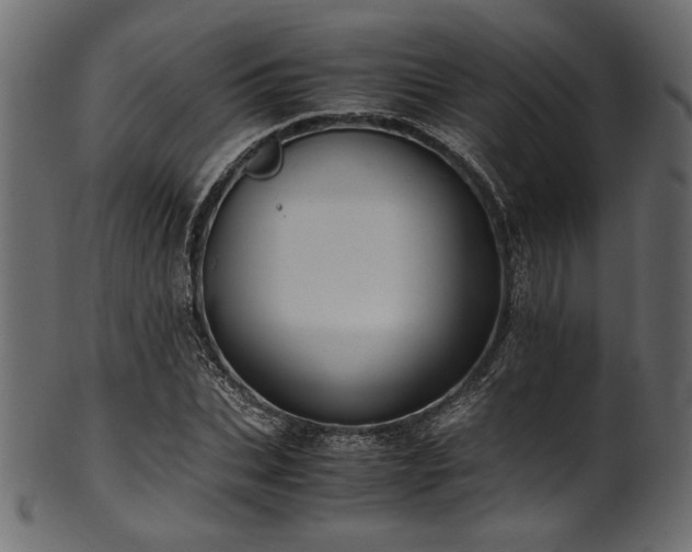 X0000101990927200807181144