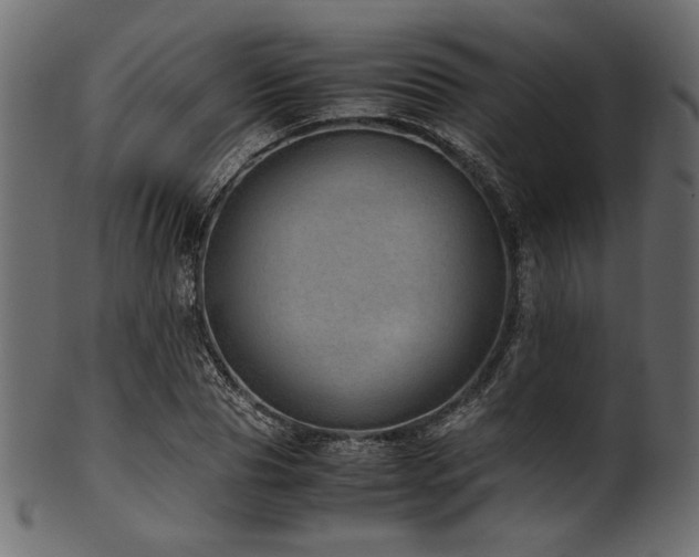 X0000101990929200807181144