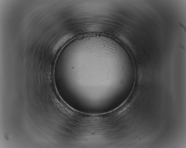 X0000101990930200807181144