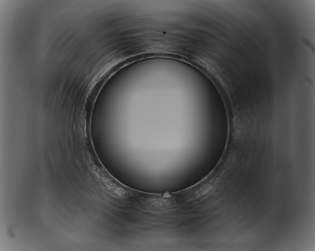 X0000101990931200807181144