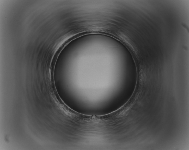 X0000101990932200807181144