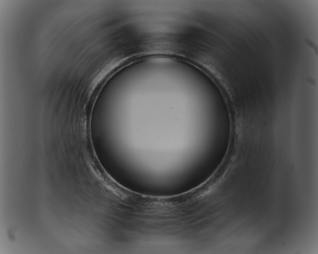 X0000101990933200807181144