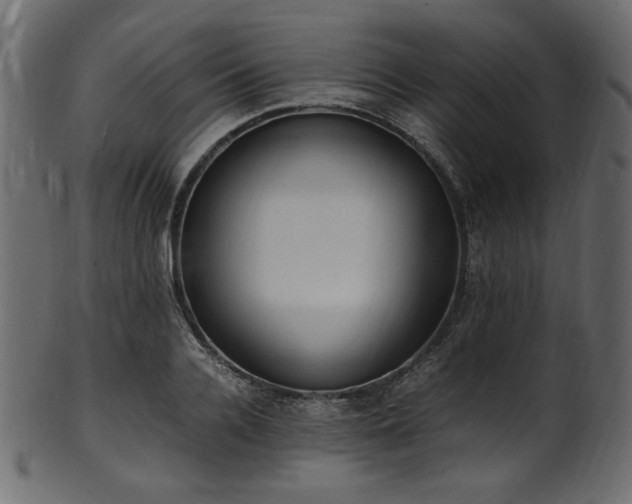 X0000101990936200807181144