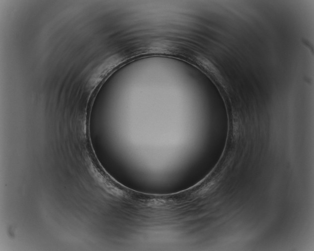 X0000101990938200807181144