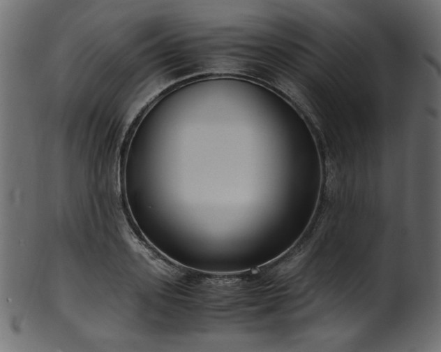 X0000101990939200807181144