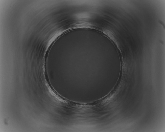 X0000101990941200807181144